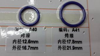 服裝輔料 從塑料調節扣到環保內衣扣，微小部件的無限可能